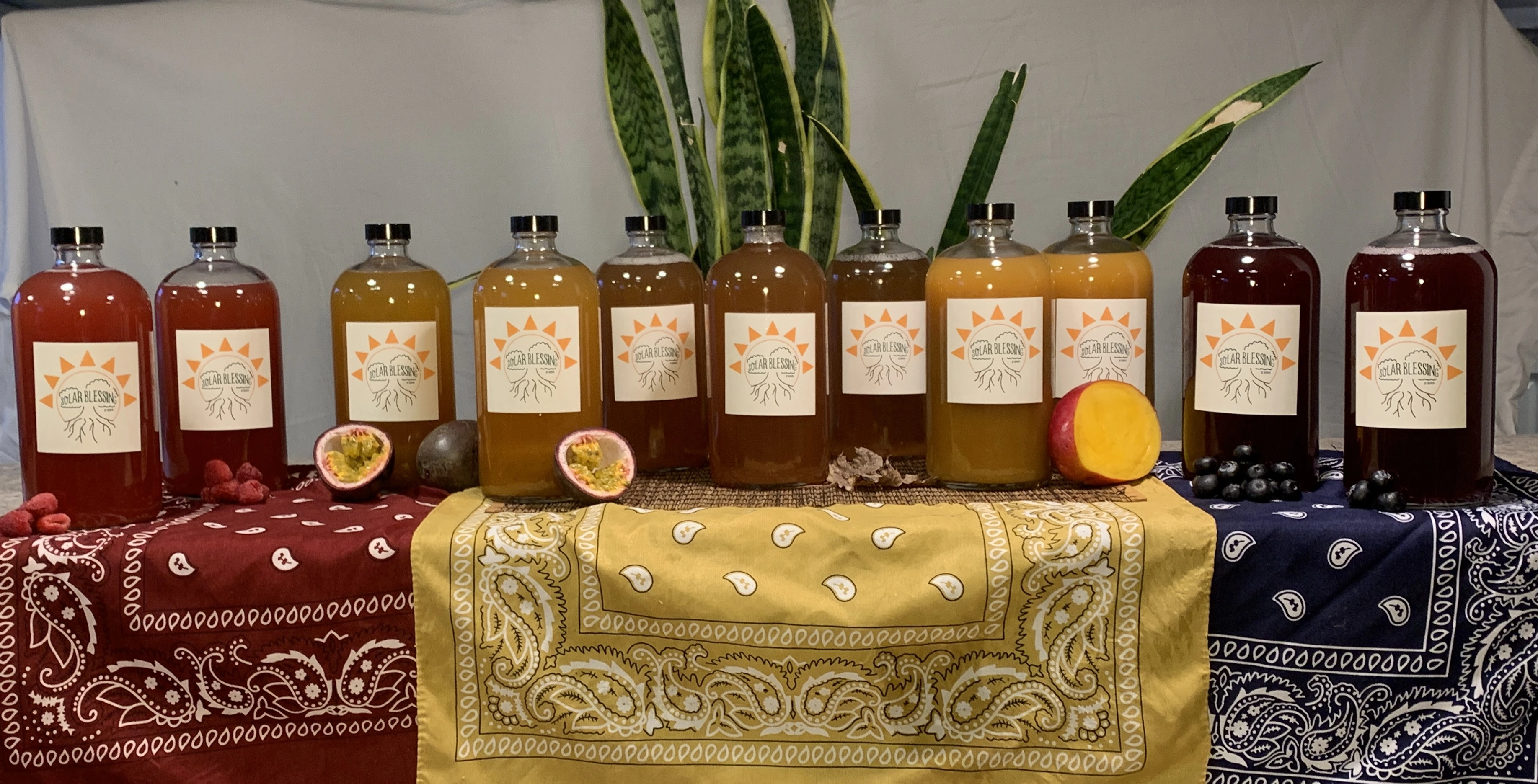 Kombucha drink